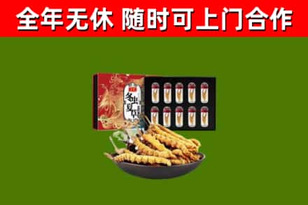 麟游回收冬虫夏草价格
